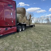A red truck carries large hay bales on a flatbed trailer, set against a clear blue sky with scattered clouds and a grassy field.